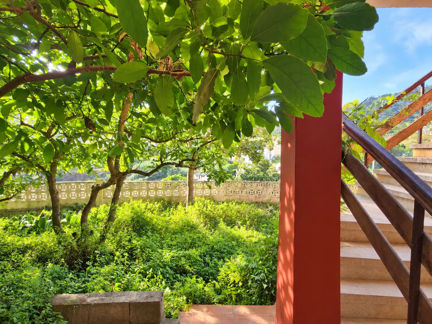 Jardí de Casa adosada en venda en Teror amb Jardí privat i Internet