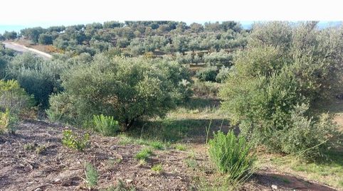 Foto 5 de Residencial en venta en Nívar, Granada