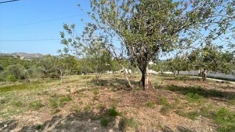 Photo 3 of Residential for sale in Remolins - Sant Jaume, Tarragona