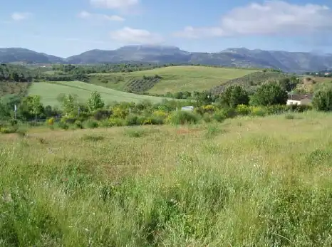 Wohnbaugrundstück zum Verkauf in Camino Ancho, imagen 2