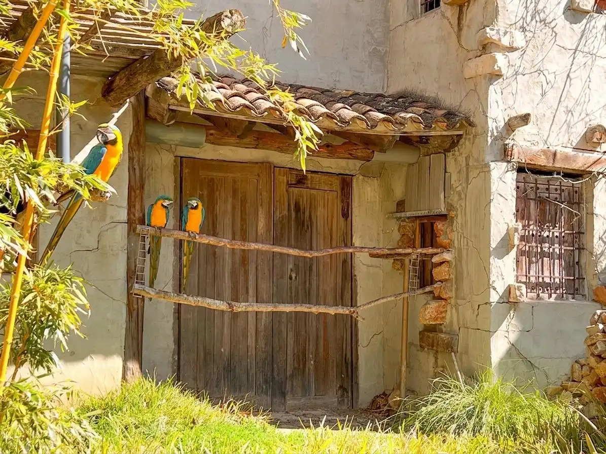 Exterior view of Country homes for sale in Llíber  with Air Conditioner, Heating and Private garden