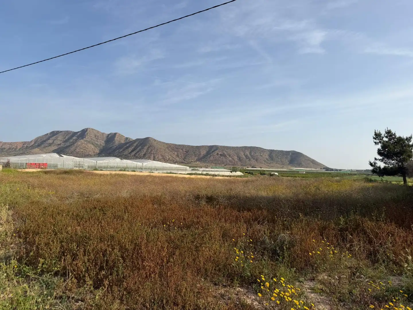 Lands and plots for sale in Torre-Pacheco ciudad