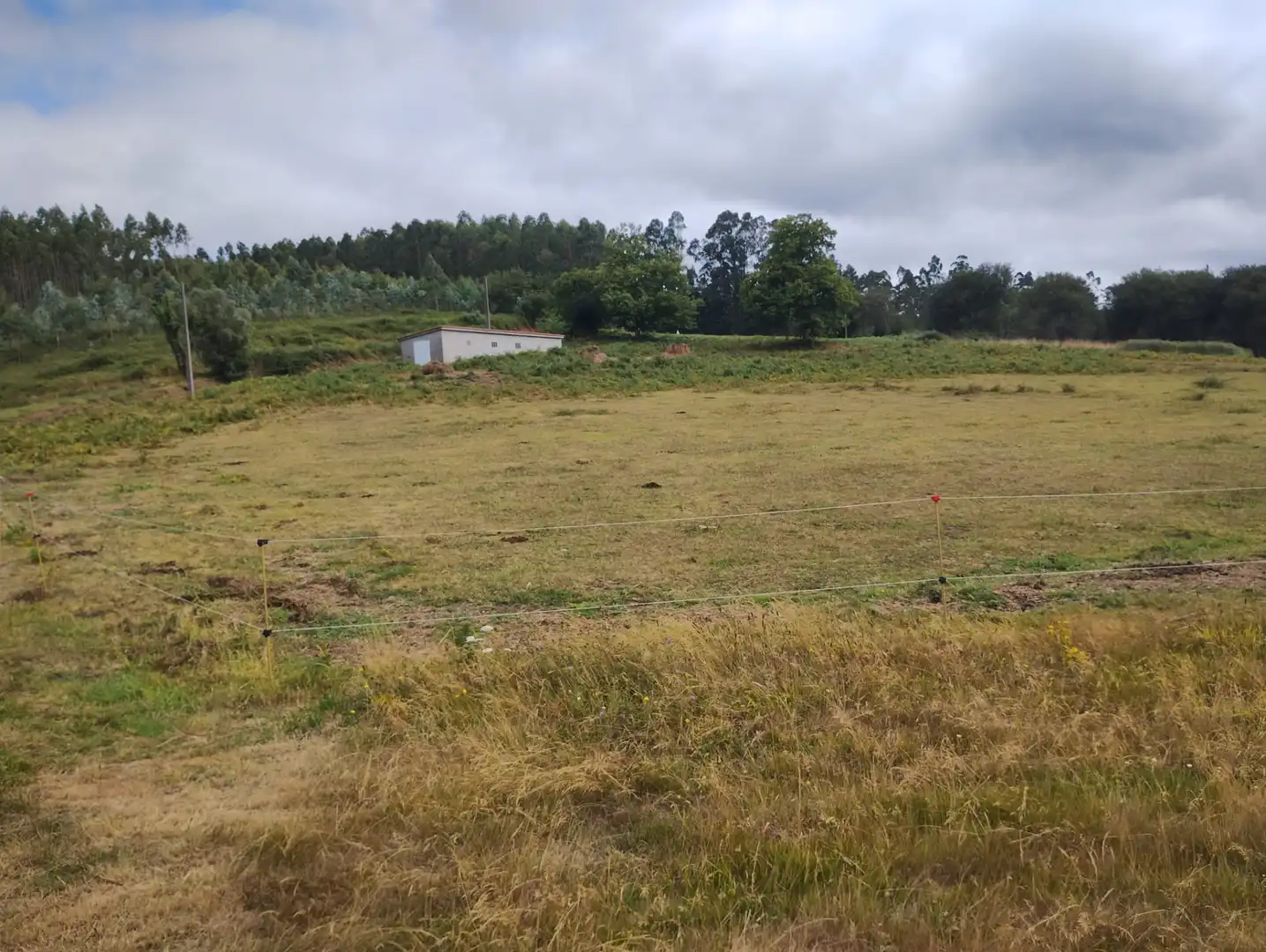Terreno residencial en venta en Neda, imagen 3