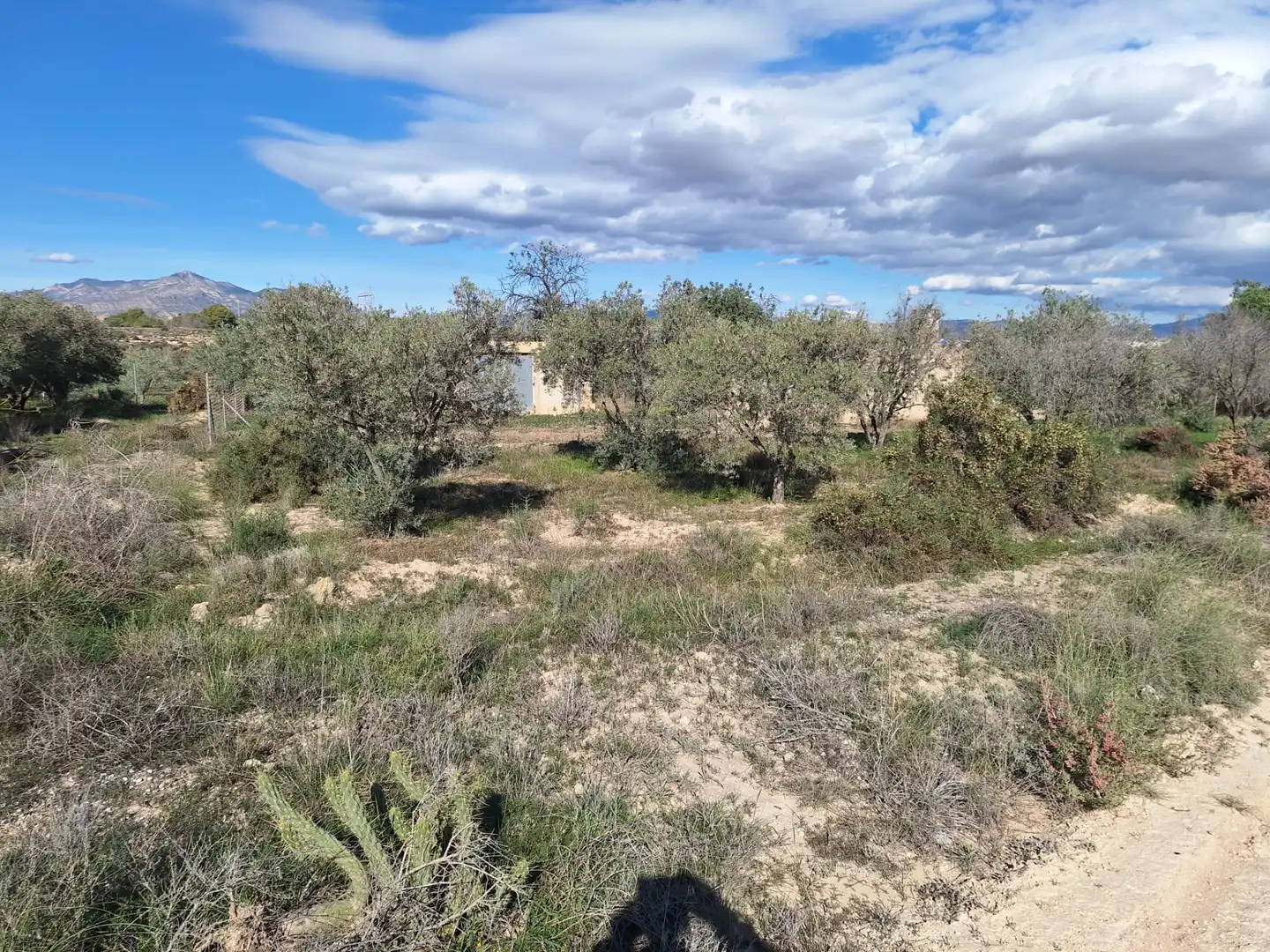 Finca rústica en venta en Alicante / Alacant con Trastero