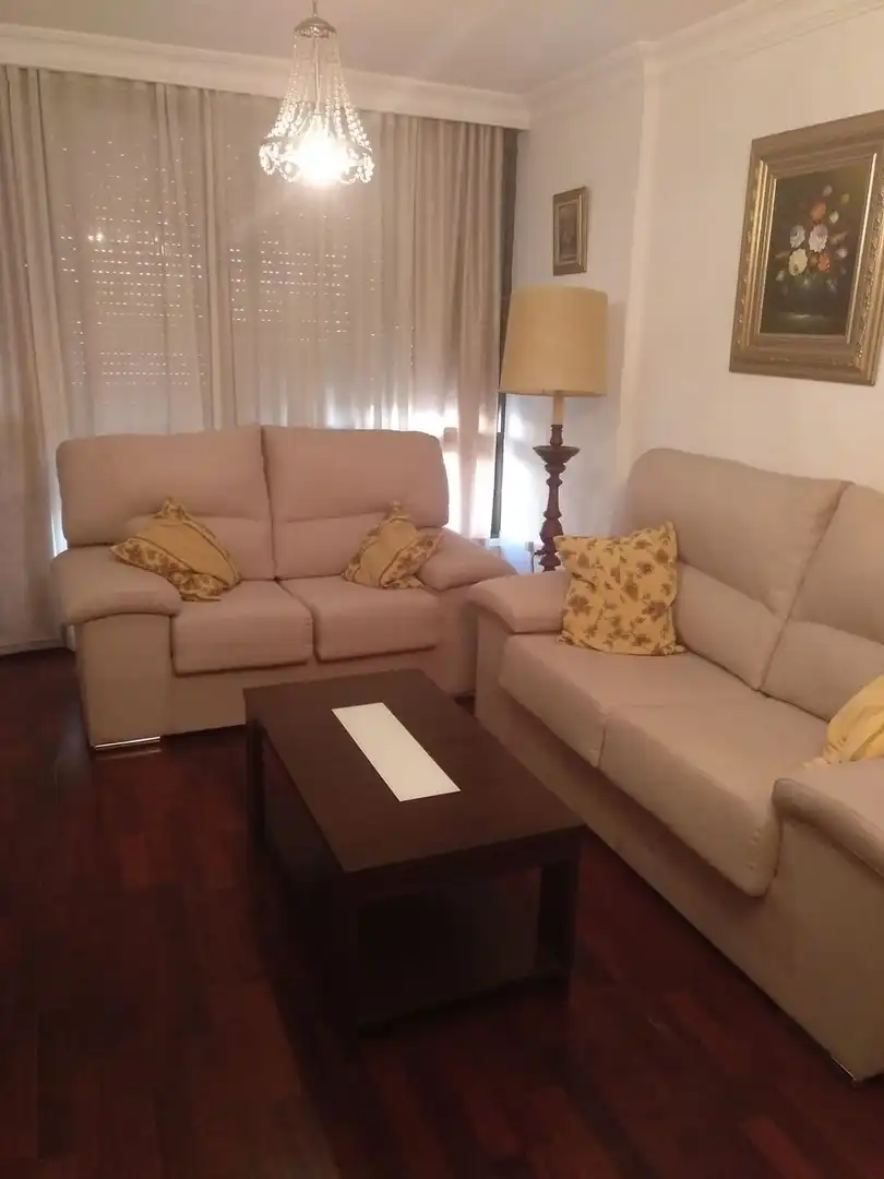 Sala de estar de Piso de alquiler en Sevilla con Aire acondicionado, Amueblado y Horno