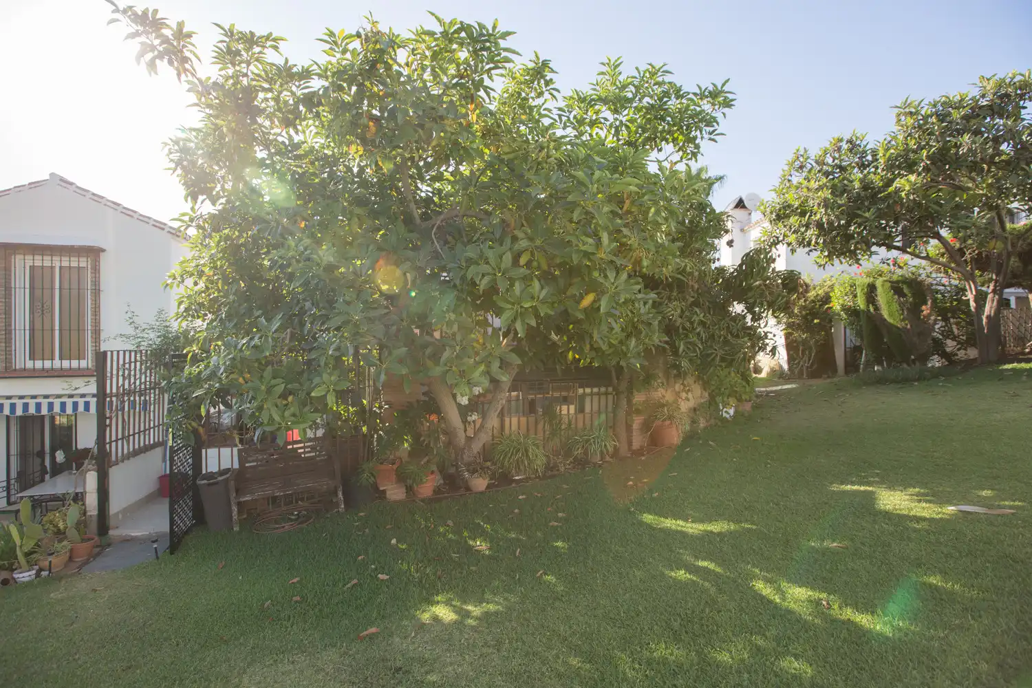 Ground floor for rent in Bello Horizonte - Lindasol