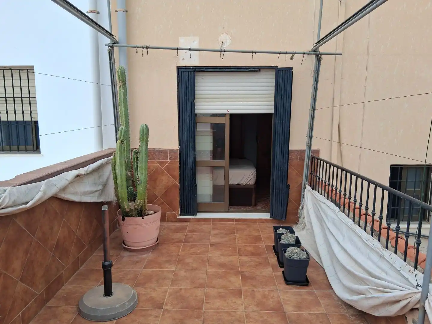 Terrassa de Casa o xalet en venda en El Ejido Ciudad