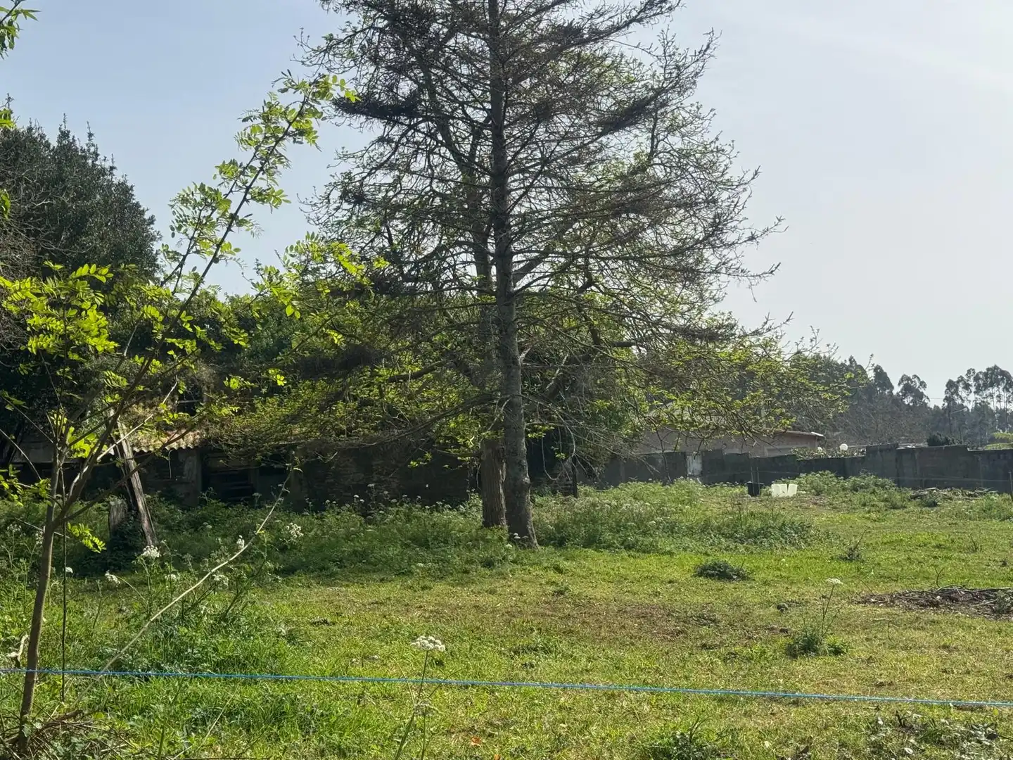 Casa rústica en venda a Lugar Pena 31, imagen 18