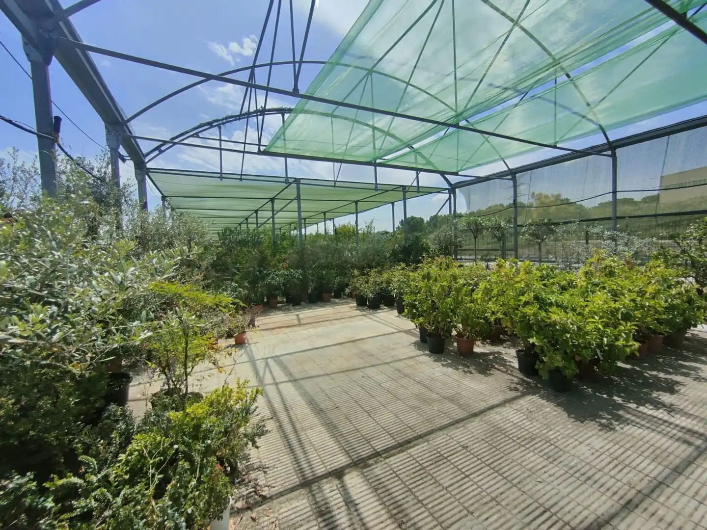 Terraza de Residencial en venta en Esparreguera