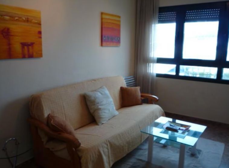 Sala d'estar de Pis de lloguer en  Valencia Capital amb Aire condicionat, Moblat i Forn