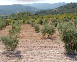 Terreny en venda en Cornudella de Montsant