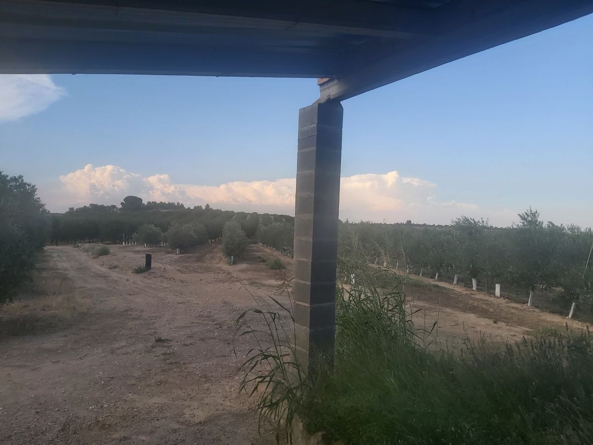 Casa o xalet en venda en Maials