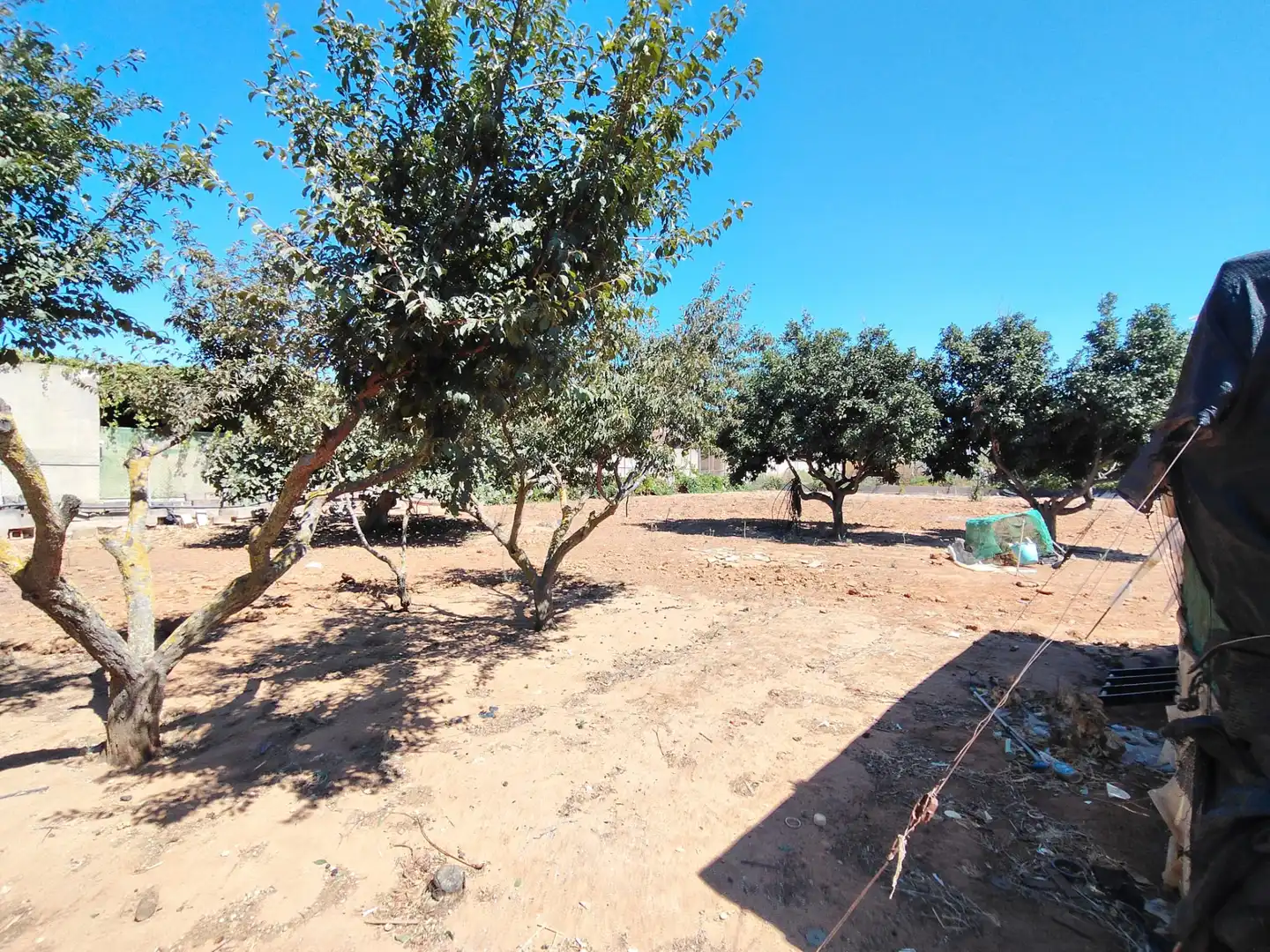 Country homes for sale in Sanlúcar de Barrameda  with Private garden