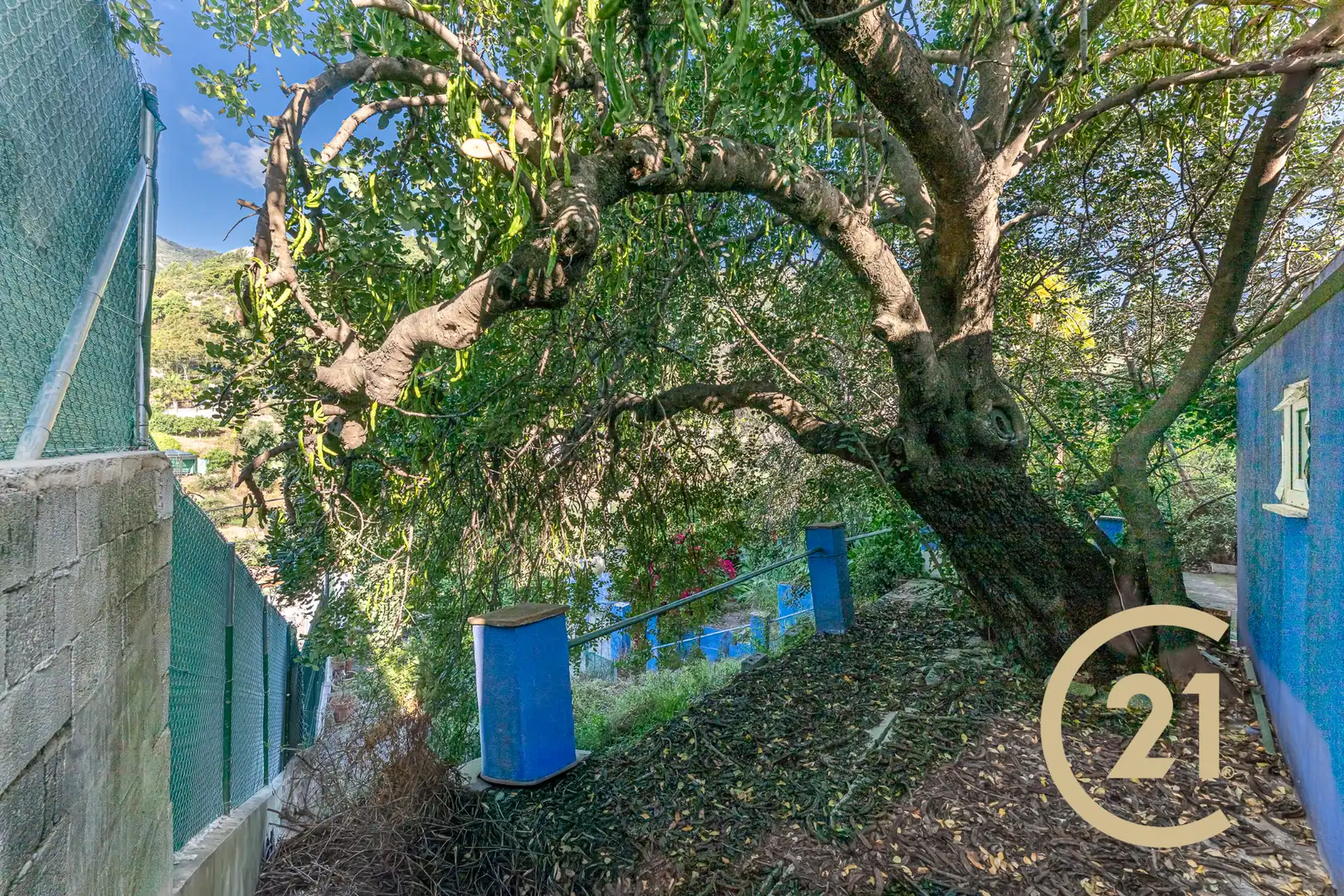Vista exterior de Finca rústica en venta en Ojén con Jardín privado, Terraza y Piscina