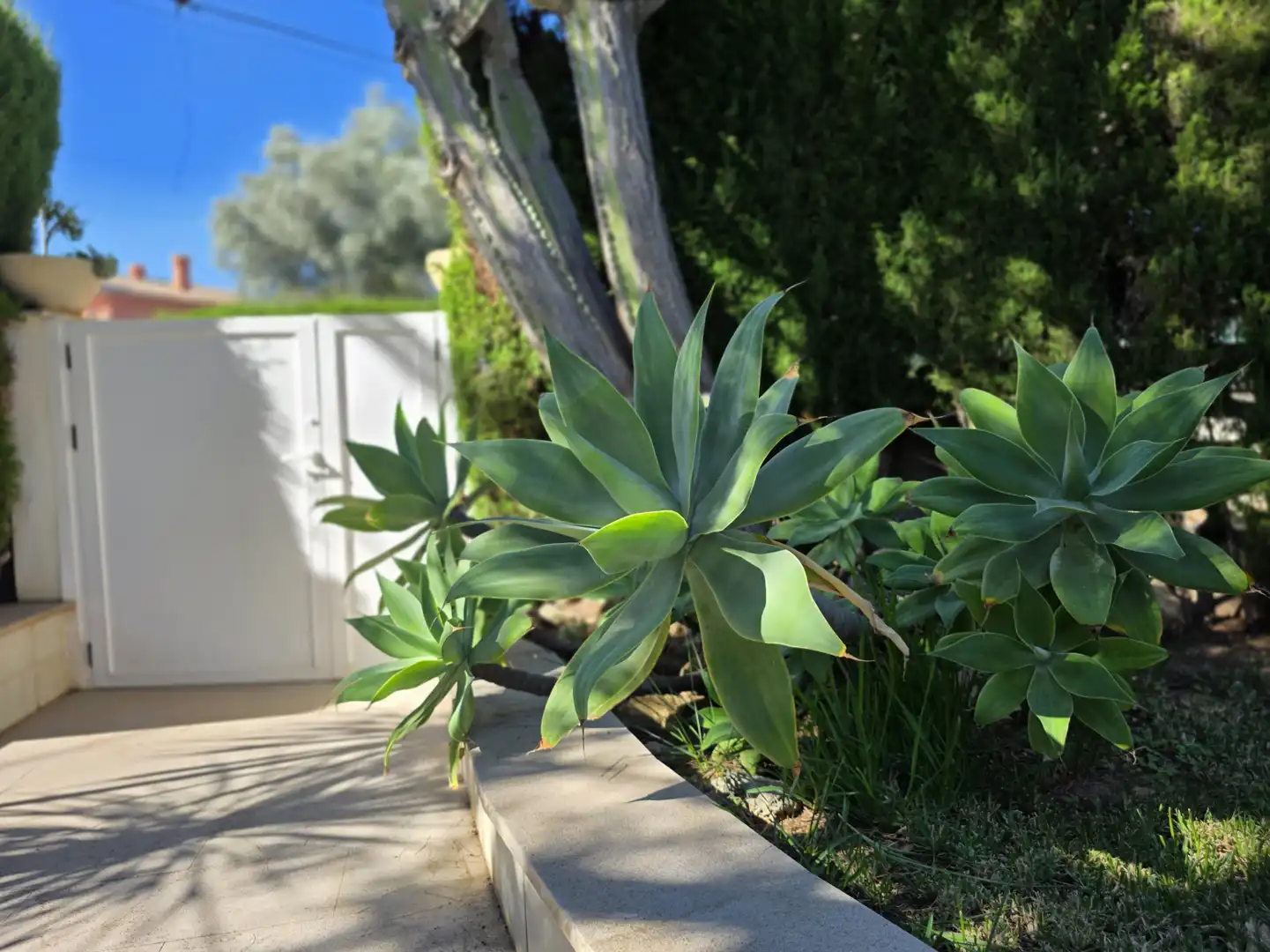 Casa o xalet en venda a TR AMERICA, 17, Torreón - La Almadraba