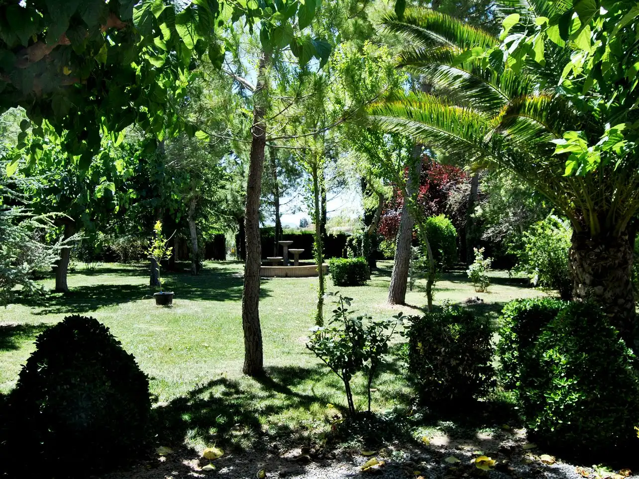 Jardín de Local en venta en Solivella