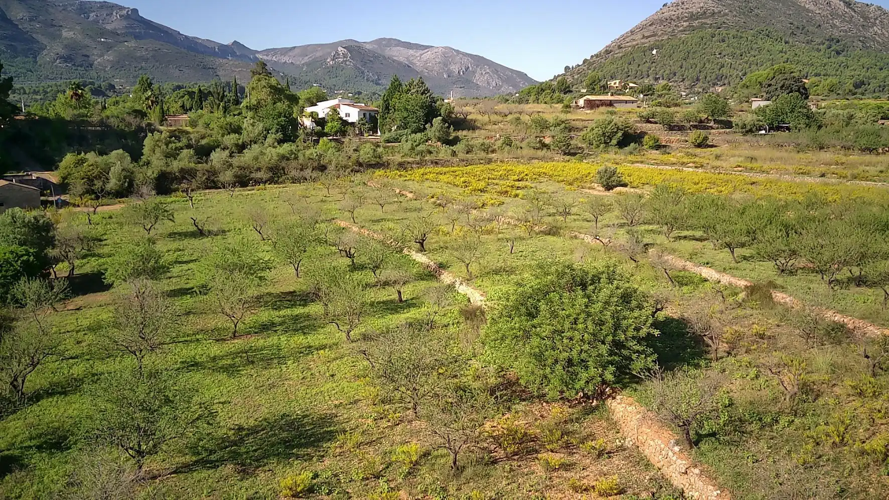 Terrenys i solars en venda a Murla, imagen 6
