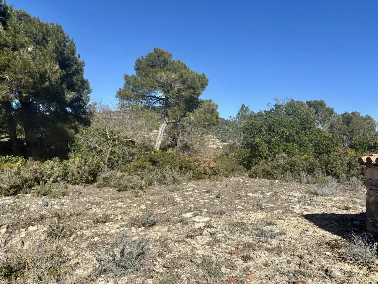 Terreno en venta en Blancafort