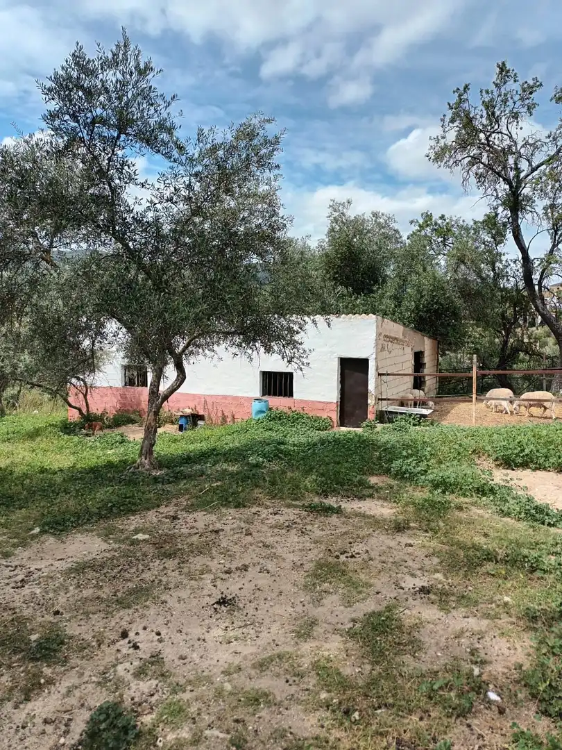 Casa rústica en venta en Partidas Norte, imagen 6