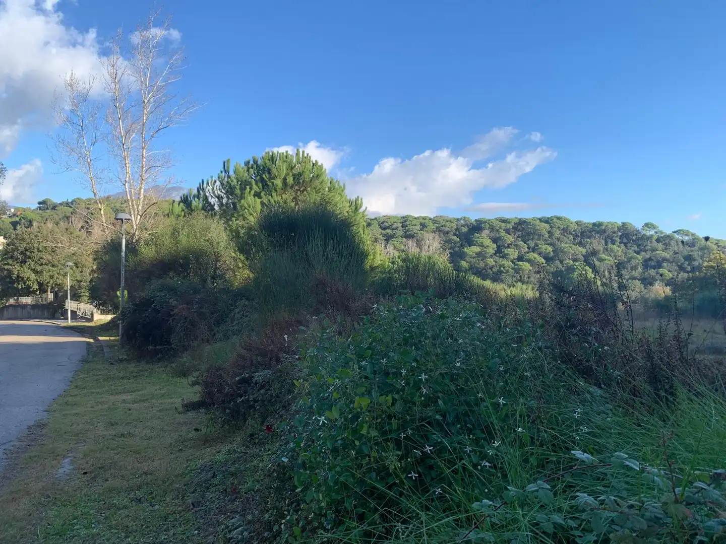 Terreno residencial en venta en Carrer del Xaloc 25, imagen 15