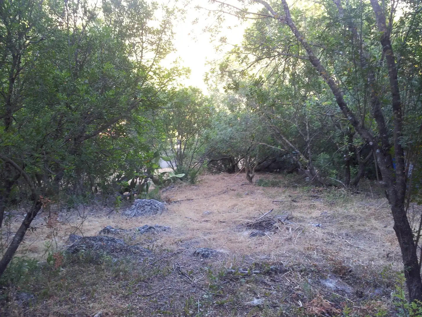Finca rústica en venta en Ubrique