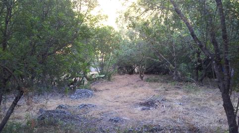 Foto 4 de Finca rústica en venta en Ubrique, Cádiz