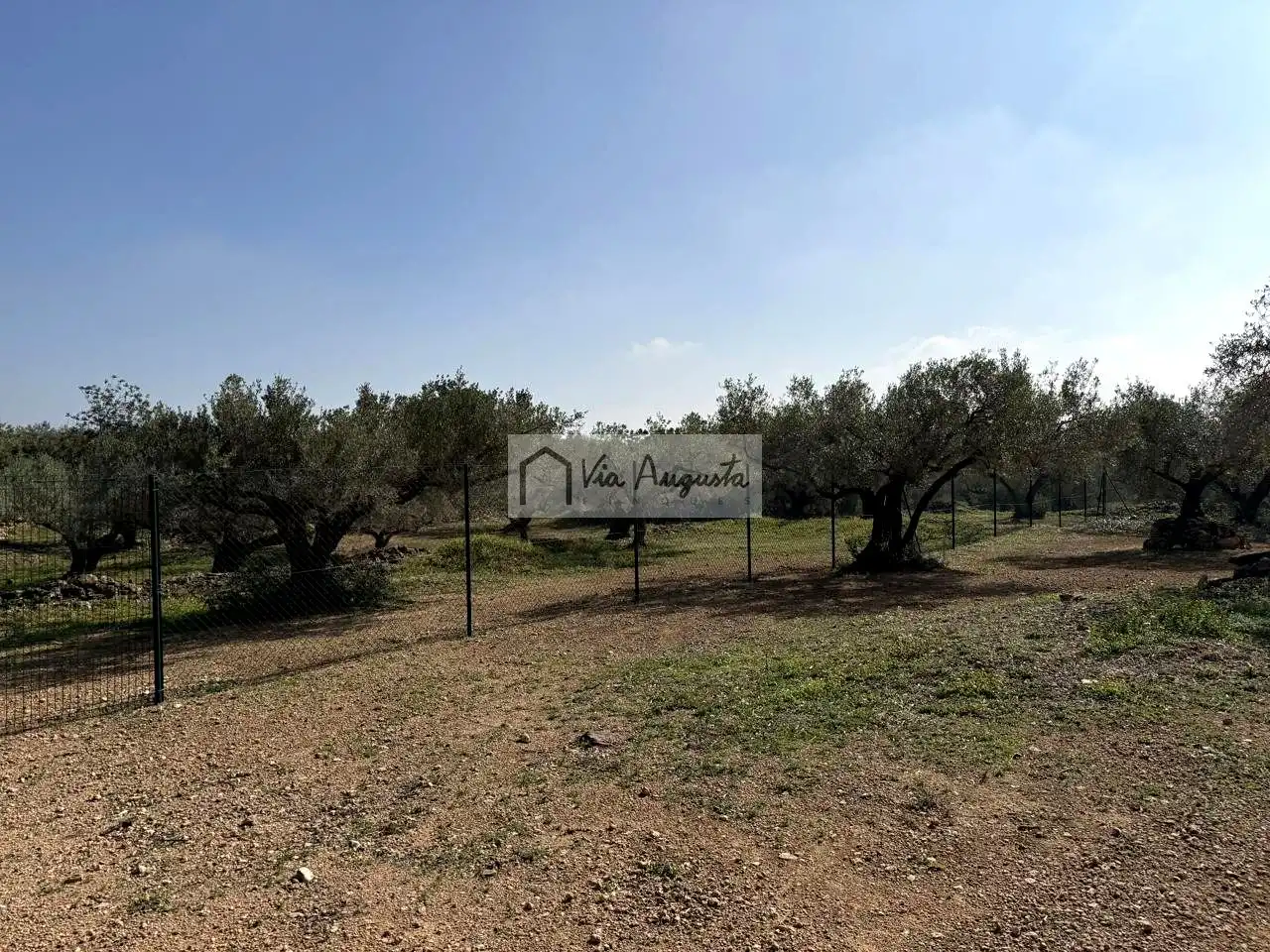 Terreny rústic en venda a Bassa del pi, imagen 27