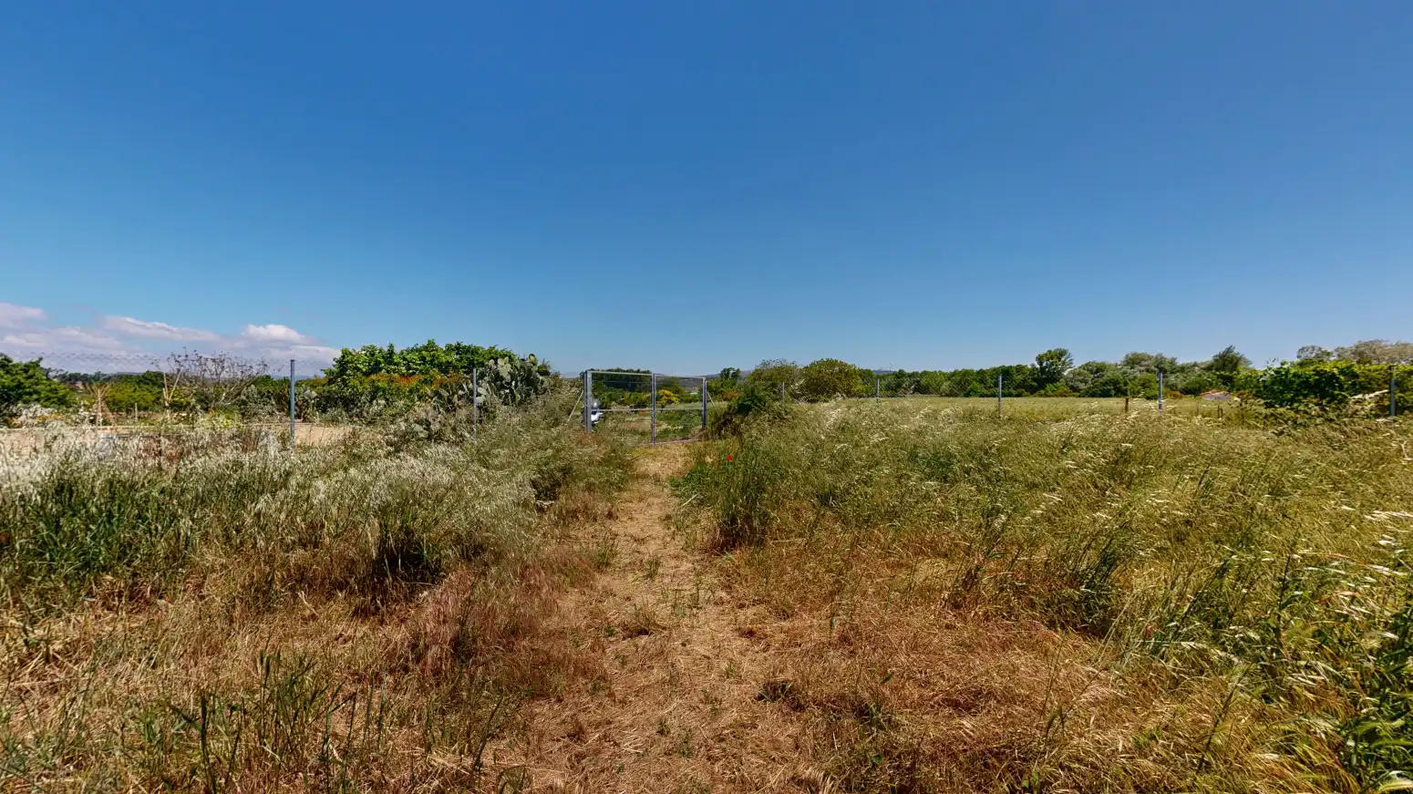Rural land for sale in Tafalla - QUIÑON, imagen 6