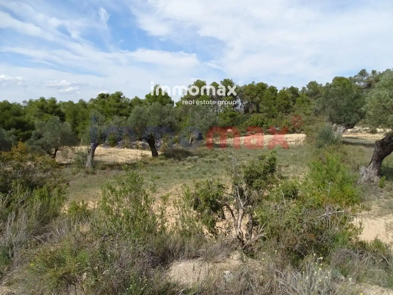 Villa à vendre à Batea, imagen 21