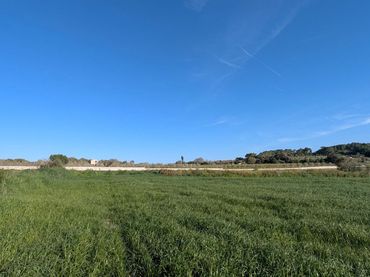 Terreno residencial en venta en 5