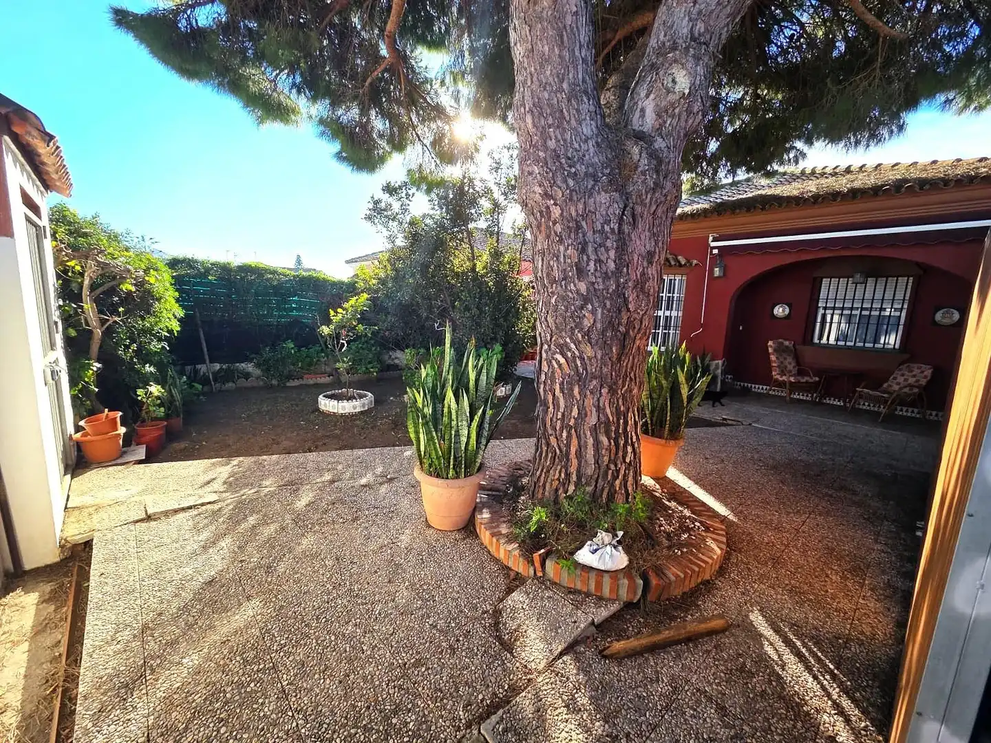 Jardí de Casa o xalet en venda en Chiclana de la Frontera amb Jardí privat