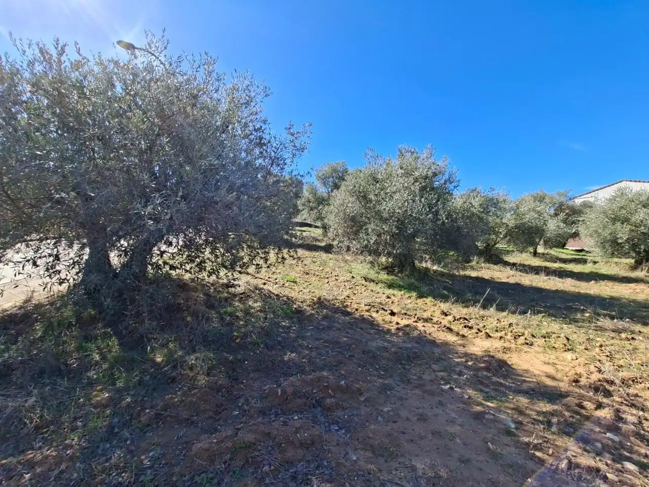 Lands and plots for sale in Calle Río Tajuña 1676, imagen 28