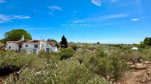 Foto 4 de Finca rústica en venda a Camarles, Tarragona