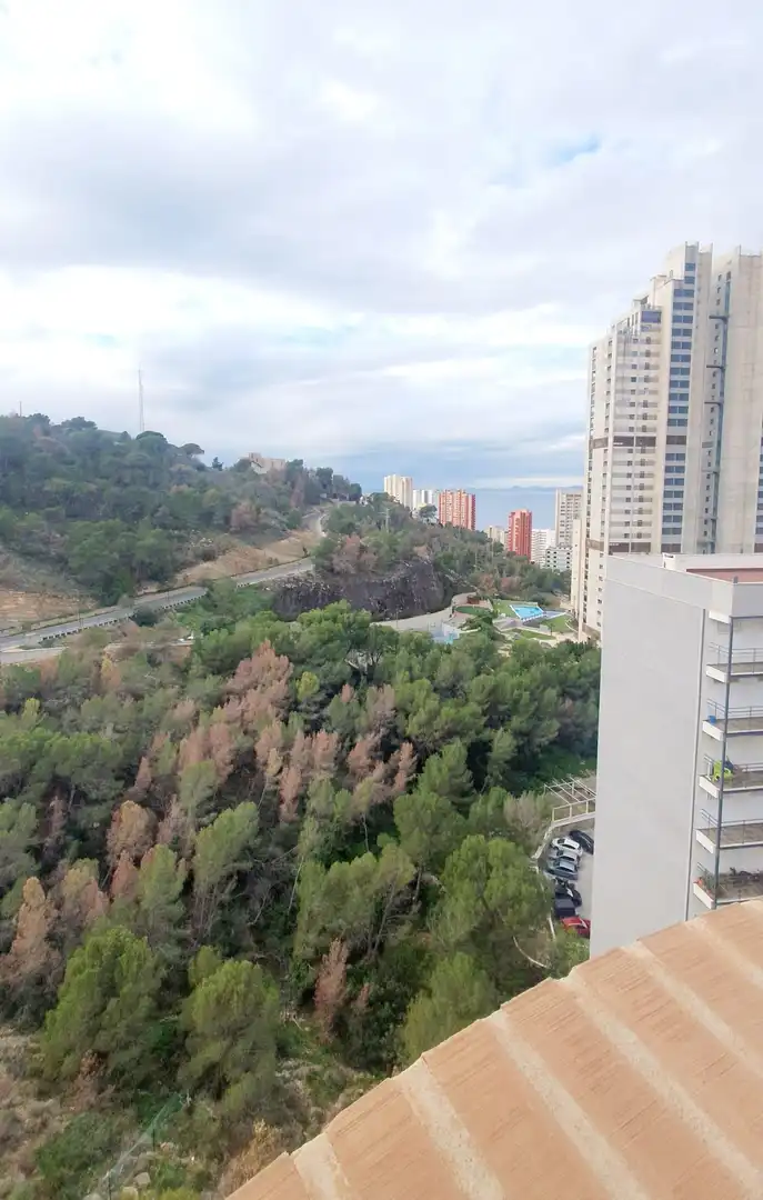 Flat with pool for sale in Rincón de Loix, imagen 14