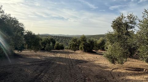 Foto 3 von Grundstücke zum Verkauf in Benamejí, Córdoba