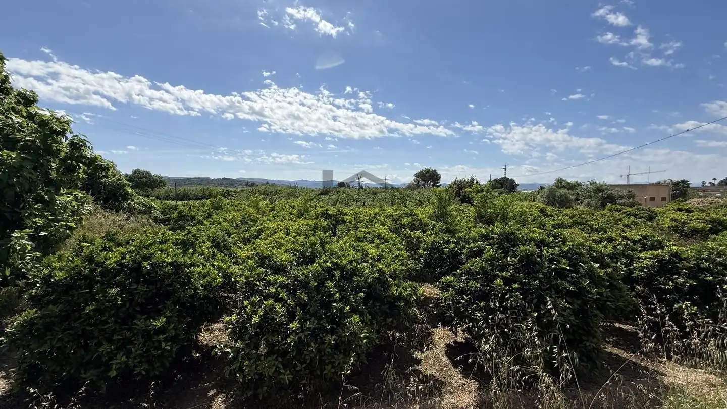 Terrain rustique à vendre à La Pobla Llarga, imagen 5