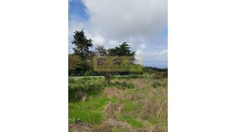 Foto 2 de Finca rústica en venta en La Esperanza - Llano del Moro, El Rosario