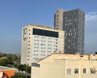 Flat to rent in Calle FRANCISCO FLORES MUELAS, Espinardo