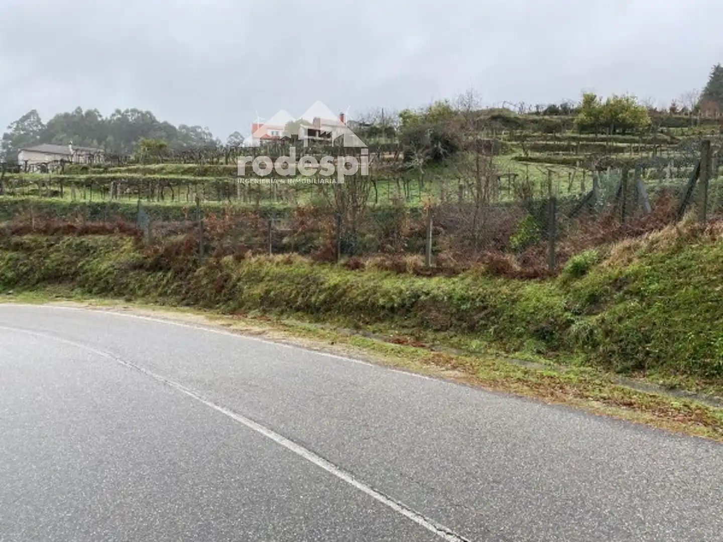 Terreny rústic en venda a A Cañiza, imagen 4