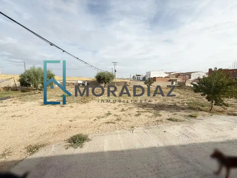 Villa in vendita a La Haba, imagen 11