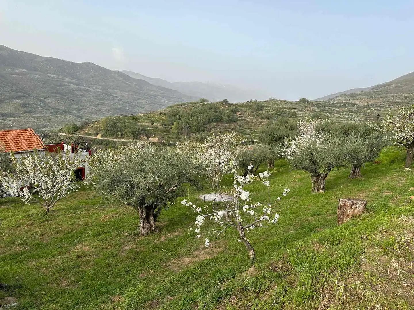 Residential land for sale in Paseo Naranjos 56B, imagen 2