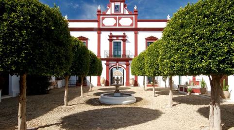 Foto 2 de Finca rústica en venda a Montellano, Sevilla