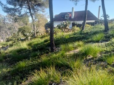 Terreno residenziale in vendita a Constel·Lacio De La