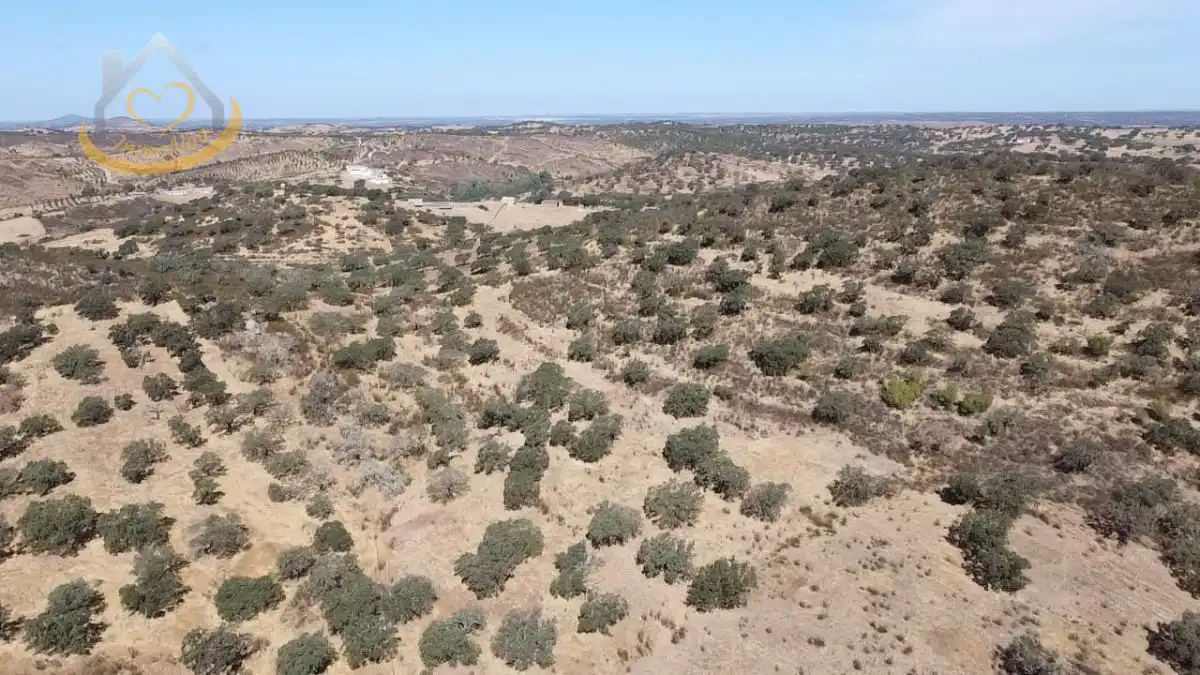 Terreni e lotti in vendita a Puebla de Guzmán, imagen 6