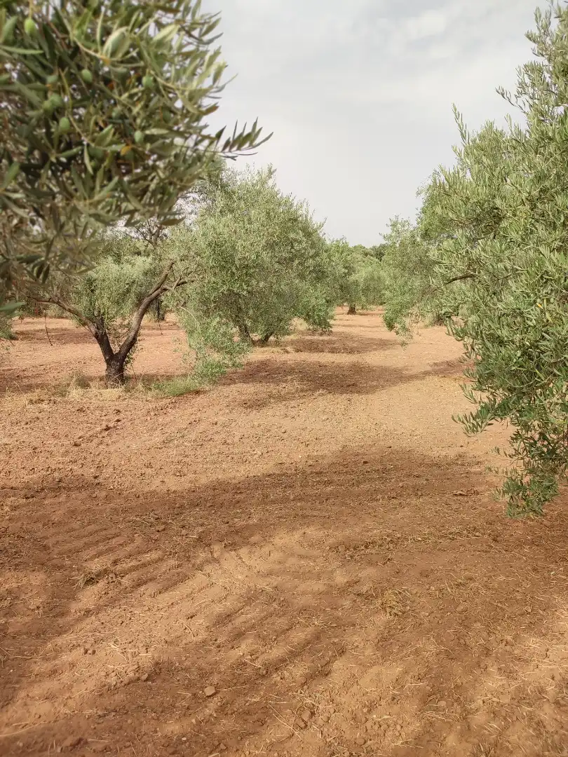 Rustikales Grundstück zum Verkauf in Periurbano Oeste - Sierra
