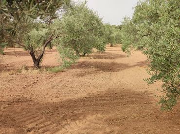 Rustikales Grundstück zum Verkauf in Periurbano Oeste - Sierra