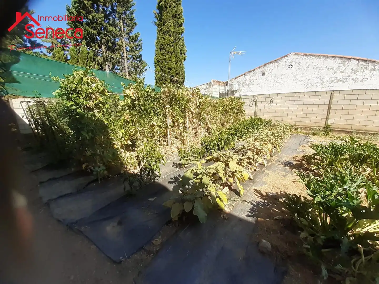 Grundstücke und Bauplätze zum Verkauf in PALMA DEL RIO KM 8, PARCELACIÓN LA GORGOJA, imagen 3