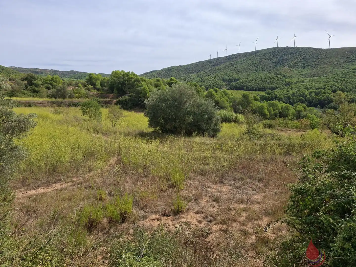 Residencial en venda en Cabra del Camp