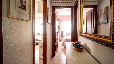 Foto 5 de Apartament en venda a Juzgados - Plaza de Toros, Benidorm