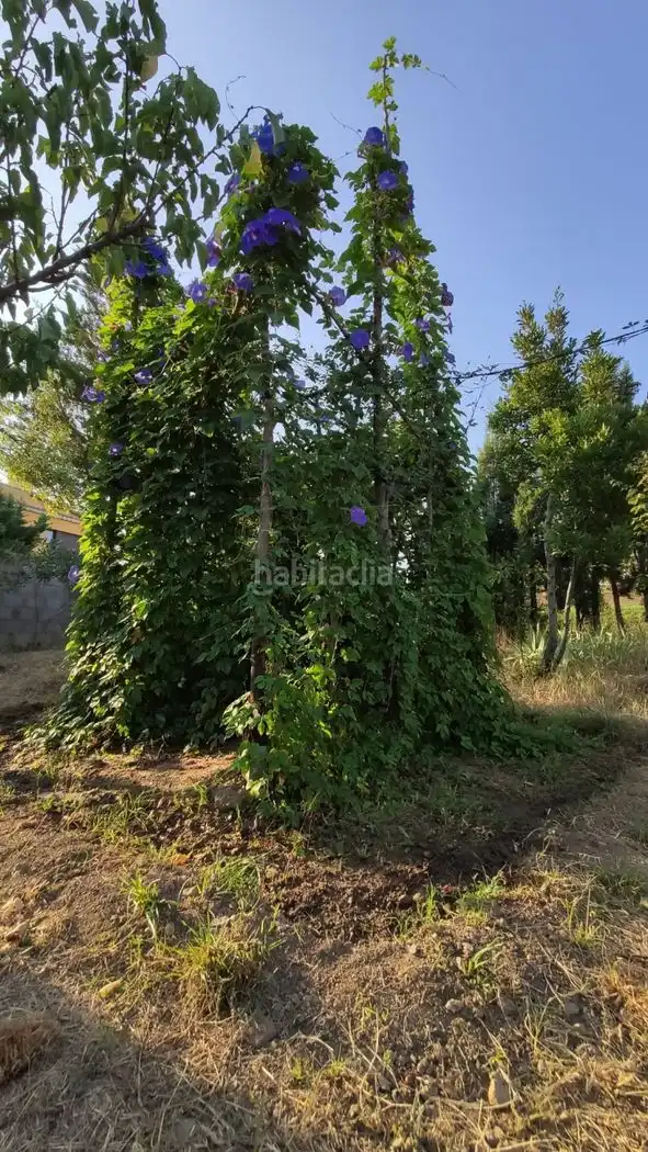 Terreny residencial en venda a Carrer Llagostera 39c, imagen 5
